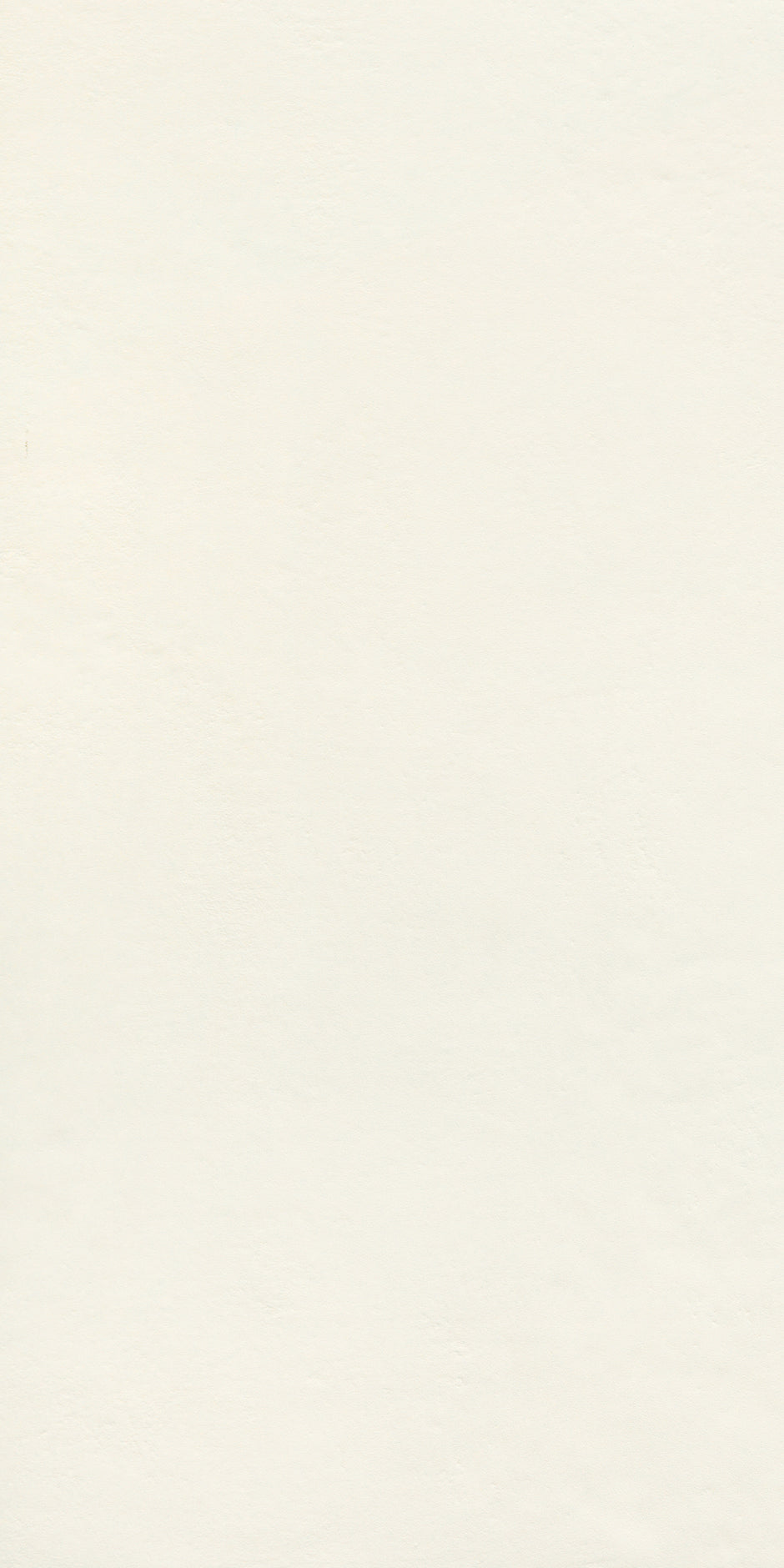Riga Cloud Smooth Plaster Look Porcelain Tiles 225x900mm