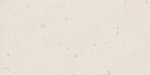 Shells Natural Stone Look Porcelain Tiles