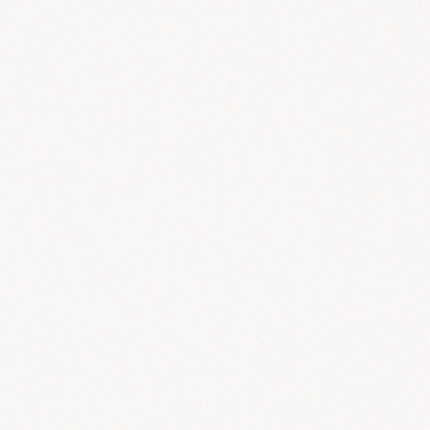 Barcelona White Matt Porcelain Tiles 250x250mm