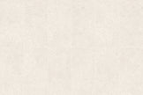 Shellstone Ivory Stone Look Porcelain Tiles 75x300mm