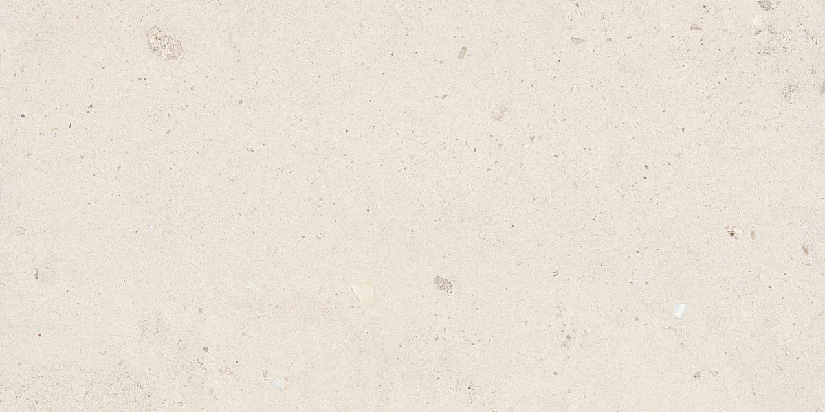 Shells Natural Stone Look Porcelain Tiles