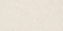 Shells Natural Stone Look Porcelain Tiles
