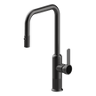 Lumiere Pull Out Kitchen Mixer Dual Spray in Black Brushed Nickel