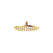 Starry Shower Head, 200mm in Urban Brass