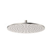 Starry Shower Head, 300mm in Brushed Nickel