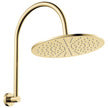 Empire Slim Curved Shower Arm Set in Urban Brass