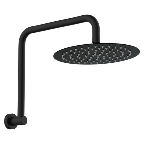 Fienza Kaya Gooseneck Shower Arm Set