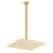 Koko Shower Dropper Set in Urban Brass