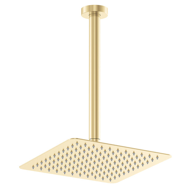 Koko Shower Dropper Set in Urban Brass