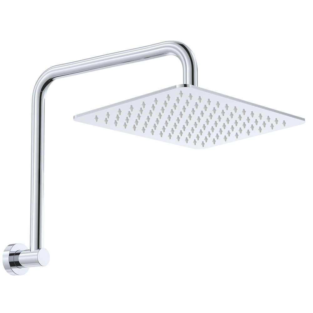 Fienza Tono Gooseneck Shower Arm Set