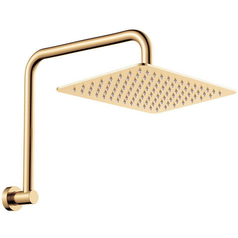 Fienza Tono Gooseneck Shower Arm Set