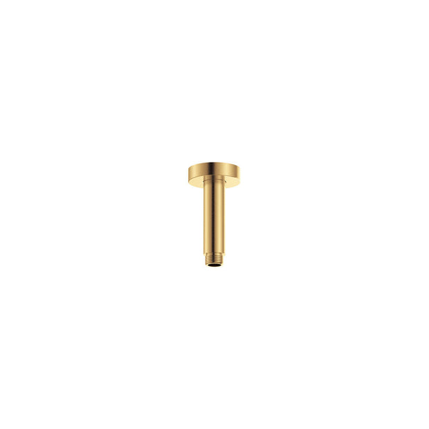 Round Shower Dropper, 100mm in Urban Brass