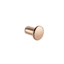 Champagne Copper