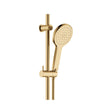 Fienza Kaya Rail Shower