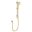 Fienza Kaya Rail Shower