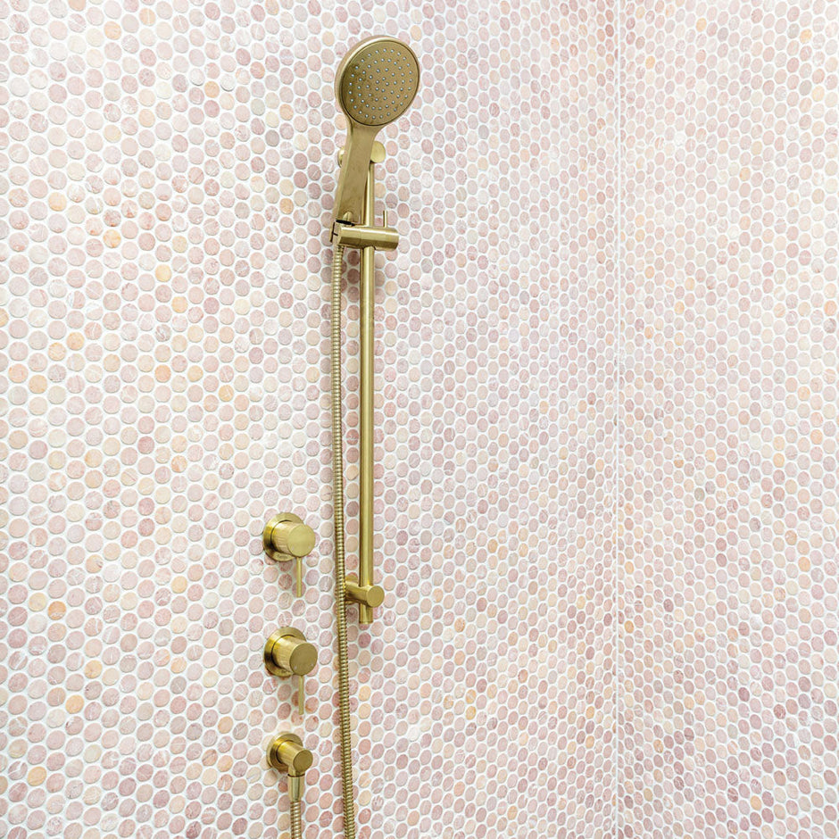 Fienza Kaya Rail Shower