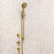 Fienza Kaya Rail Shower