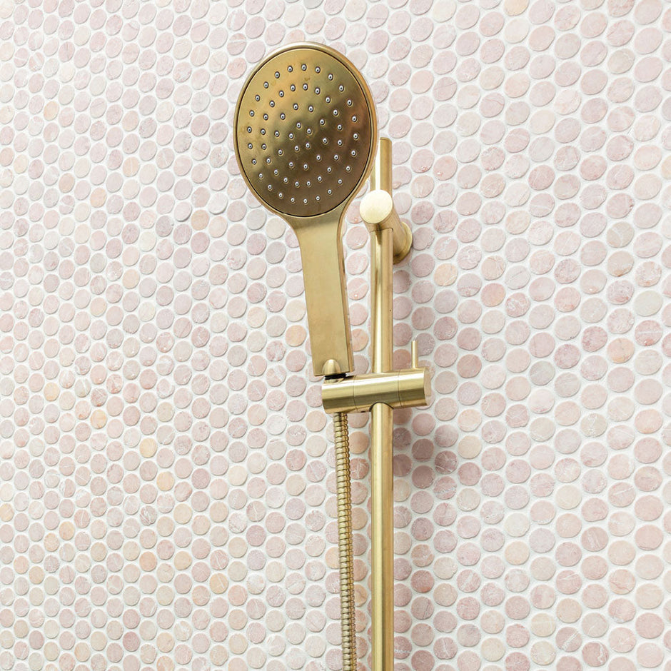 Fienza Kaya Rail Shower
