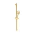 Care Inverted T Rail Shower