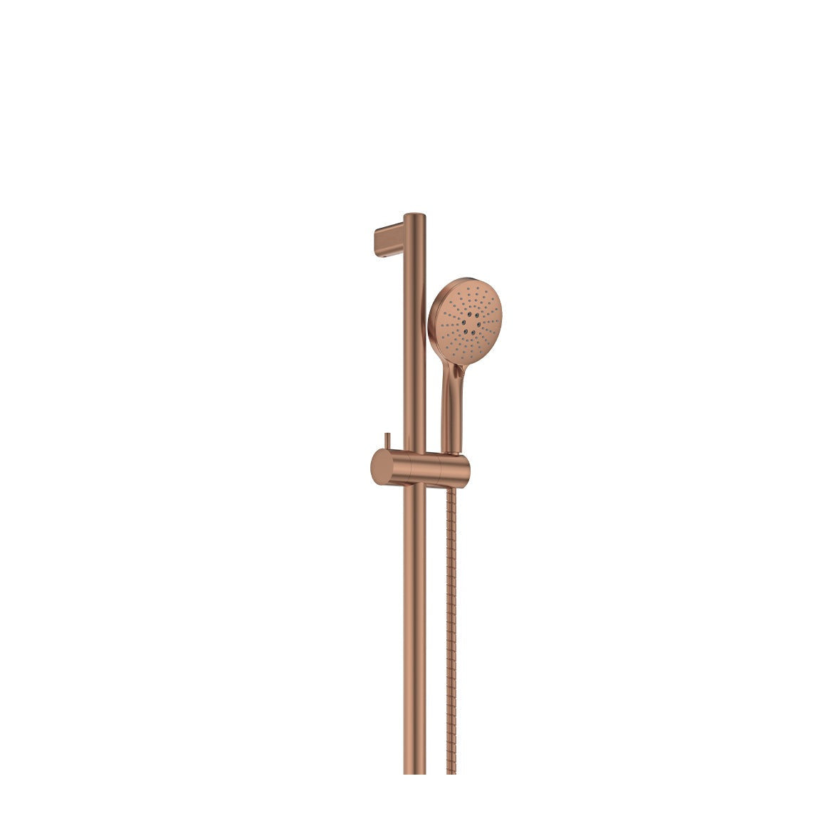 Care Rail Shower