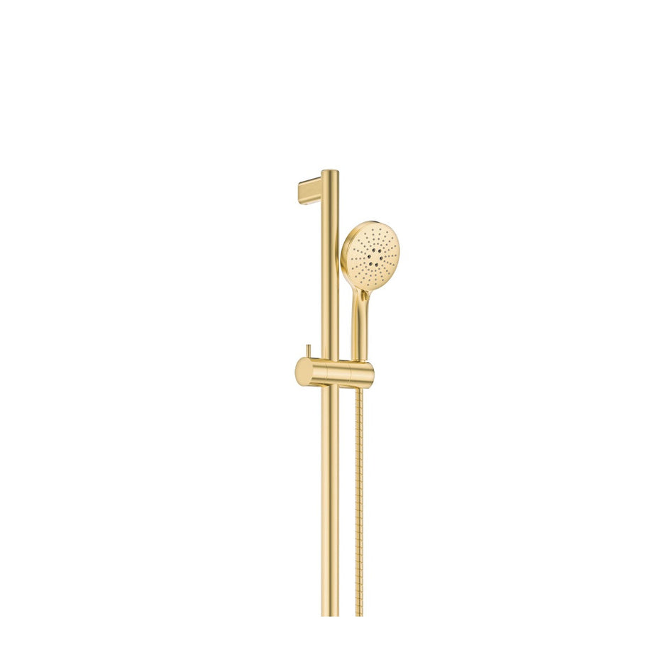 Care Rail Shower