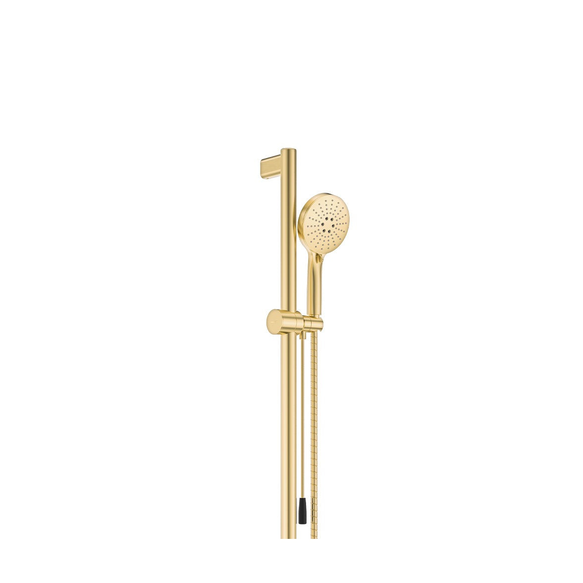 Care Rail Shower with Push/Pull Slider