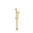 Care Rail Shower with Push/Pull Slider