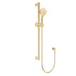 Care Rail Shower in Urban Brass