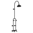 Lillian Exposed Rail Shower & Bath Set in Matte Black