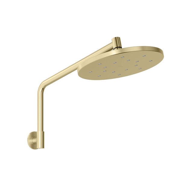 Ormond High Rise Shower Rose & Arm