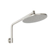 Ormond High Rise Shower Rose & Arm