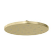 LuxeXP Shower Rose 250mm Round