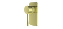 Brushed Brass