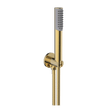Hand Shower Set in Brushed Brass