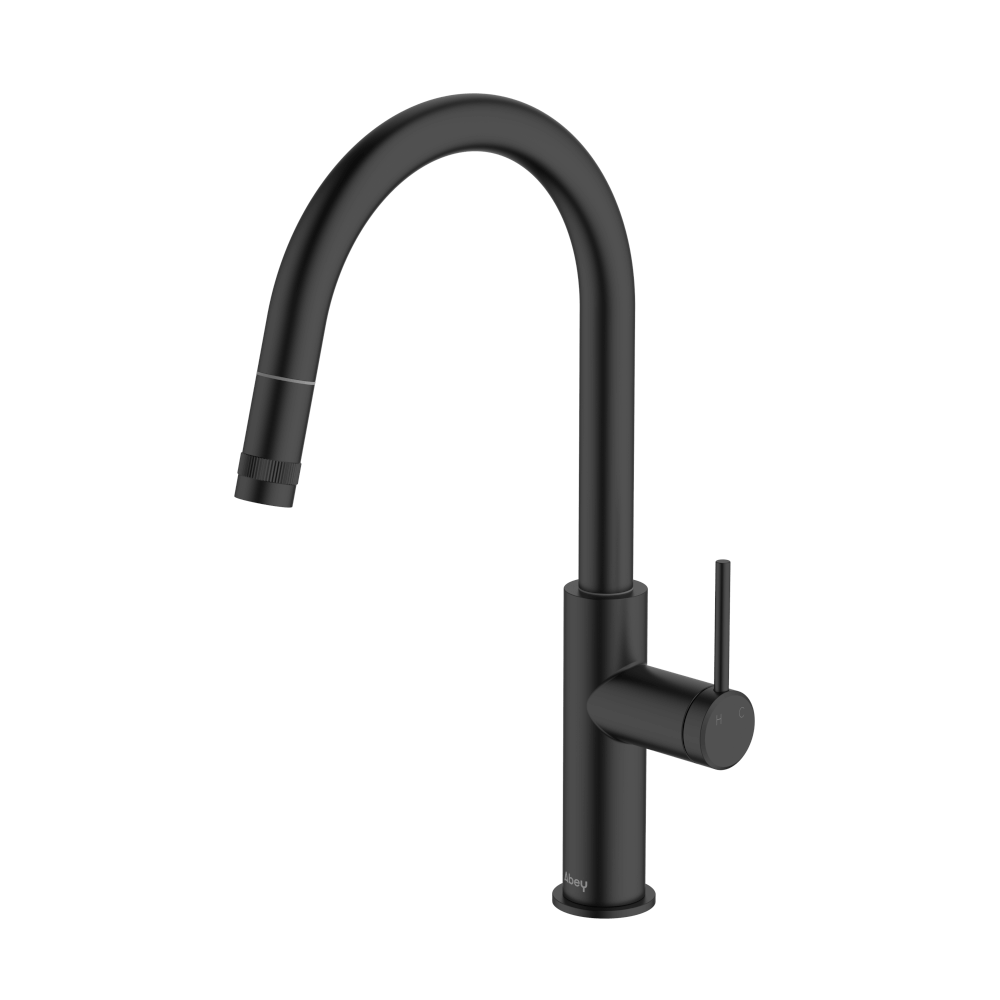 Poco Pull Out Kitchen Mixer in Black