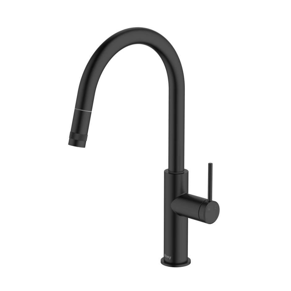 Poco Pull Out Kitchen Mixer in Black