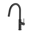 Poco Pull Out Kitchen Mixer in Black