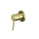 Brushed Brass