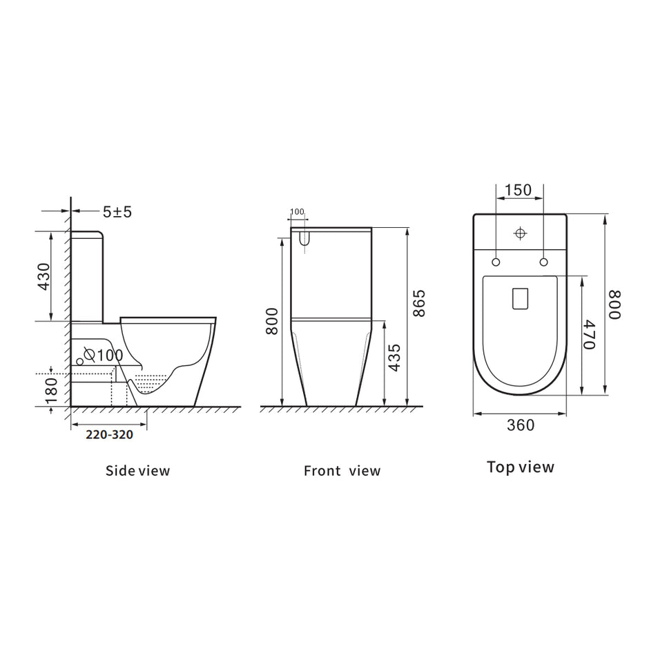 Zenmo Extracare Back to Wall Toilet Suite