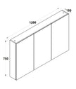Zenmo Mirror Cabinet 1200mm
