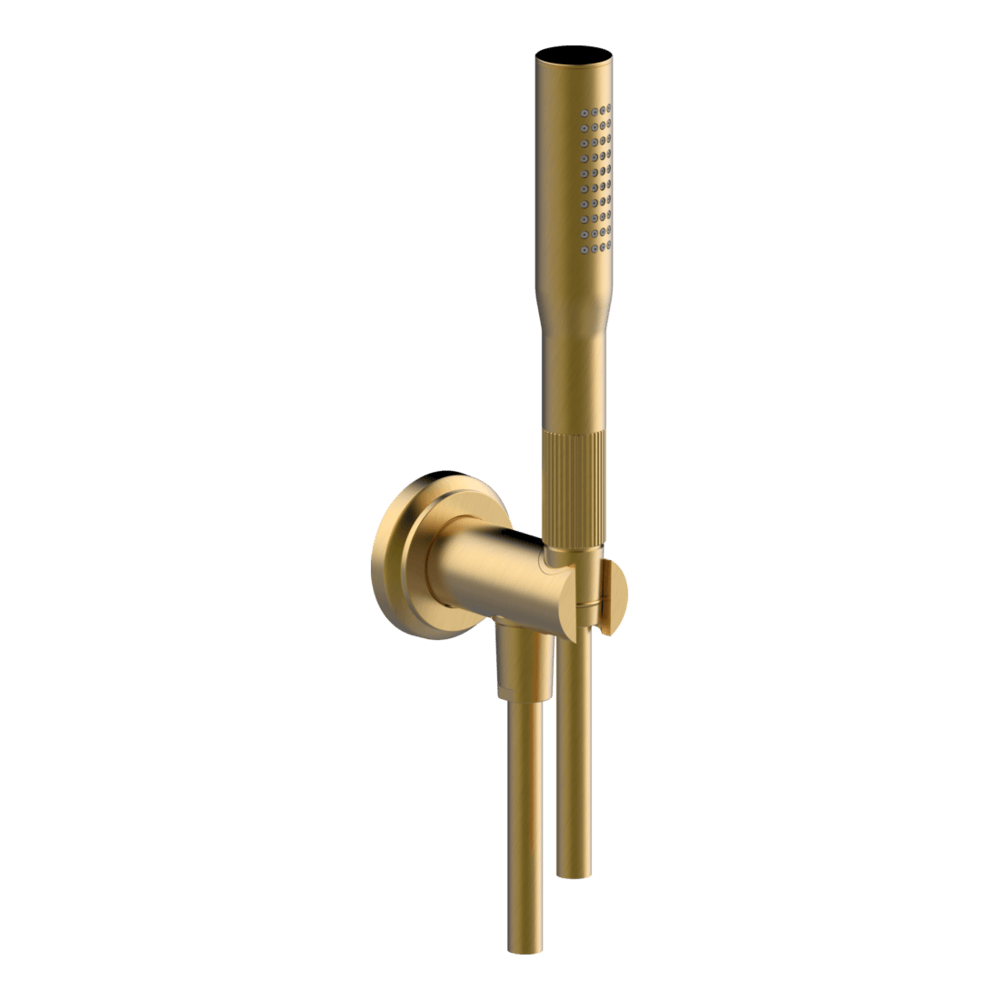 Lumiere Hand Shower Set in Brushed Gold