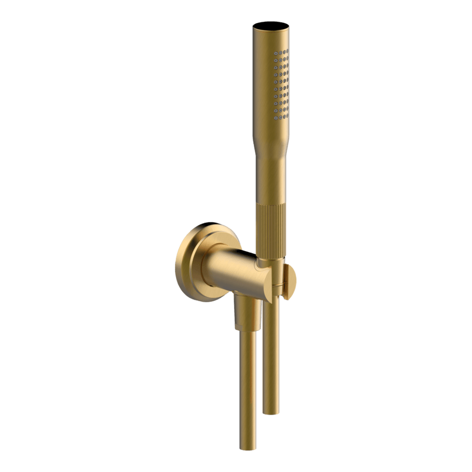 Lumiere Hand Shower Set in Brushed Gold