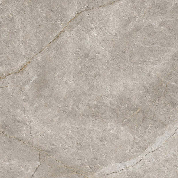 Adore Taupe Marble Look Porcelain Tiles 300x600mm tile