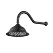 Bordeaux Shower Arm With Shower Head - matte-black