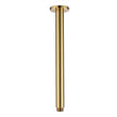 Round Ceiling Shower Arm - polished-brass
