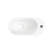 Fienza Ari Solid Surface Wall Basin, Matte White wall hung vanity