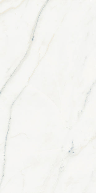 Euromarmo Calacatta Polished Marble Look Porcelain Tiles tile