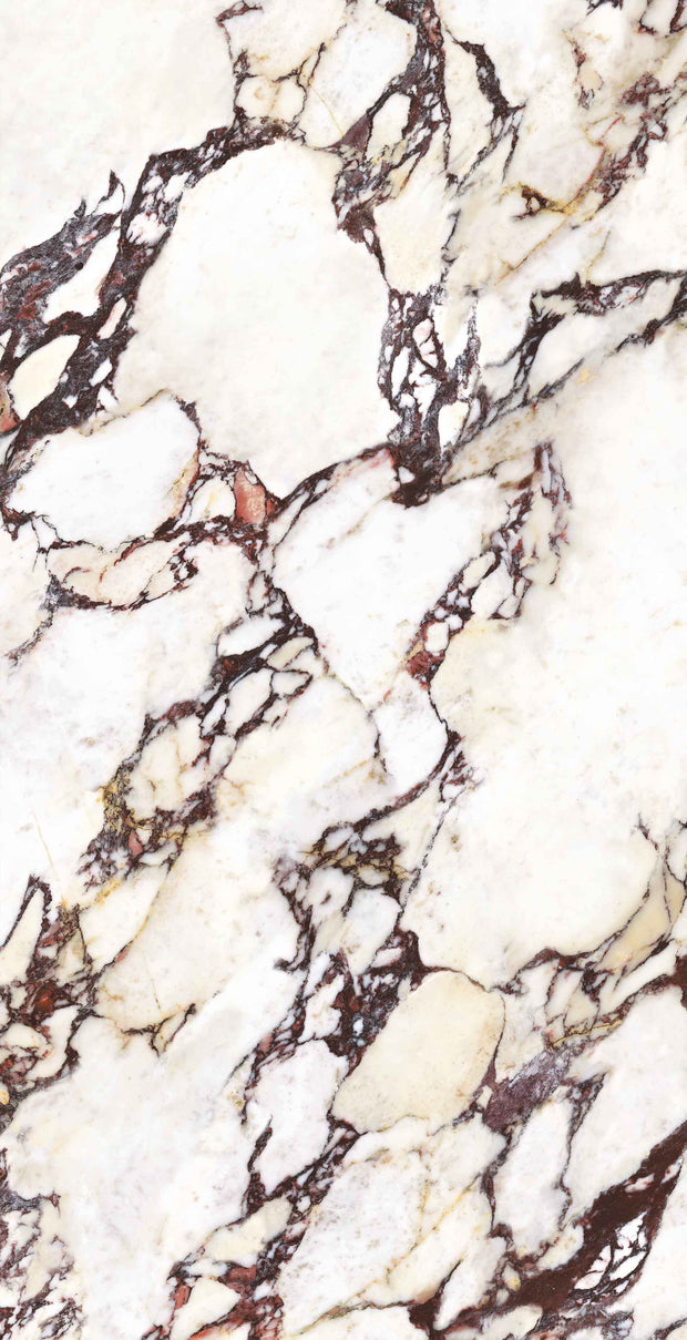Wonderland Calacatta Viola Marble Look Porcelain Tiles 600x1200mm tile