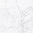 Carrara Stone White Marble Look Porcelain Tiles tile