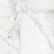 Charm Arabescato Ceramic Tiles tile